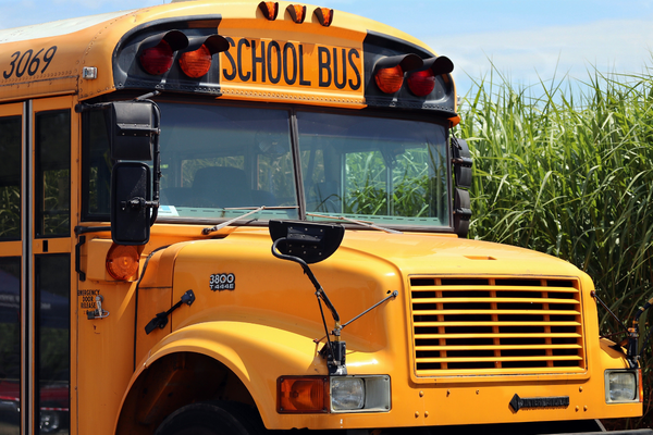 School Bus